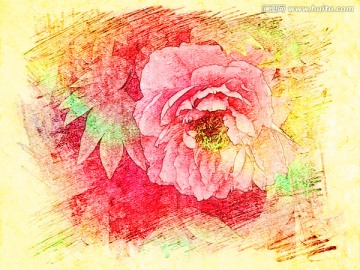 牡丹花油畫