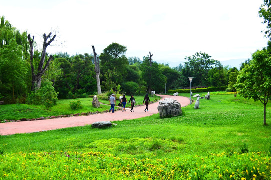 四川西昌湿地公园