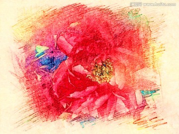 牡丹花油畫