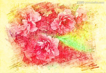 牡丹花油畫