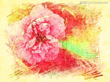 牡丹花油畫