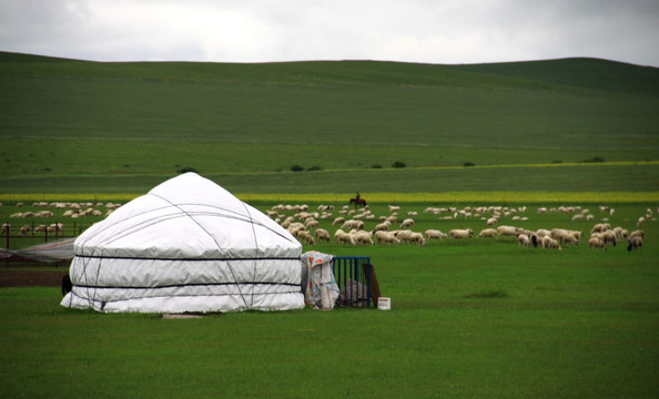 呼伦贝尔草原夏季牧场上的蒙古包