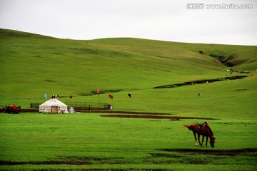 夏季草原牧场