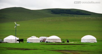 草原蒙古包牧场
