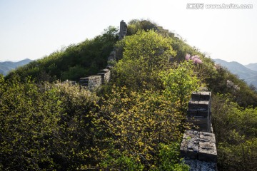 陈家堡野长城