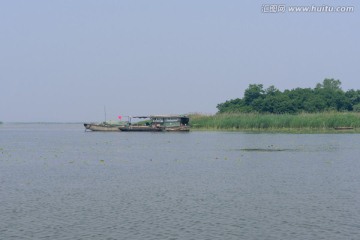 红荷湿地景观