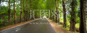 绿意公路