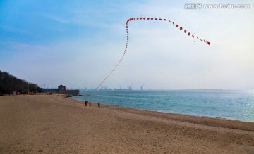 老龙头 放风筝 龙形风筝