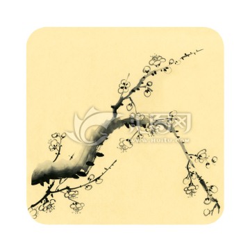 國(guó)畫(huà)梅花