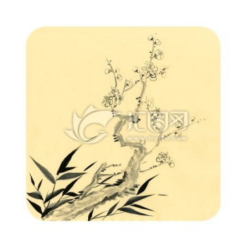 寫意梅花 國畫梅花 寒梅