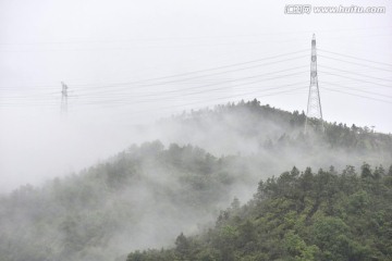 迷雾森林