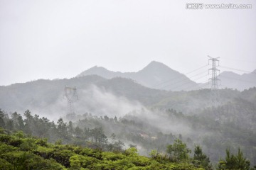 森林植被