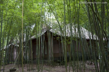 竹林小屋