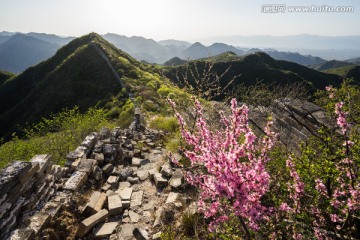 野花与陈家堡长城