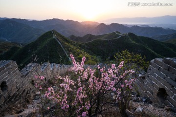 野花與陳家堡長城日落