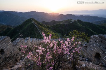 野花与陈家堡长城日落