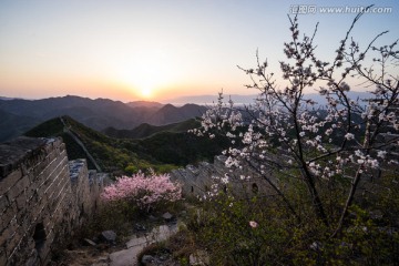 野花与陈家堡长城日落