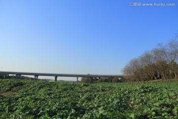 黄兴镇浏阳河风光带