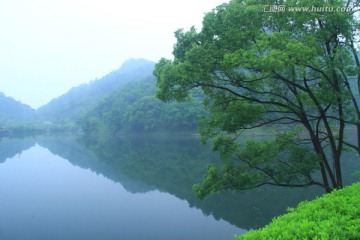 长沙桃花岭公园水库湖边的树