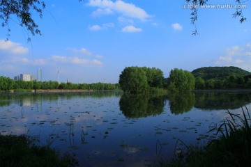 桃子湖公园