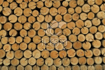 圆木 木材