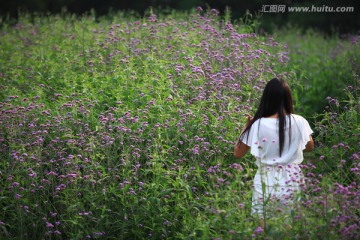 女性 人物