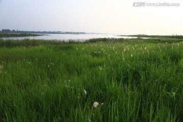 湿地 自然风光