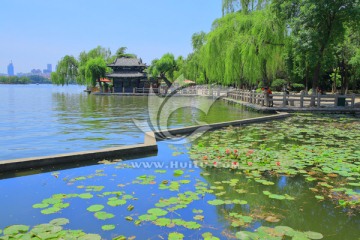 济南大明湖公园