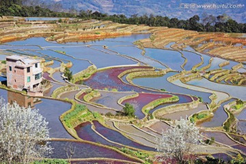 元阳梯田