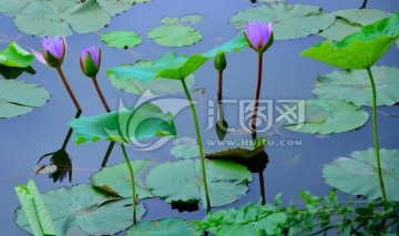 攀枝花仁和区湿地公园