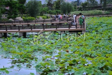 攀枝花仁和区湿地公园