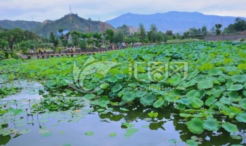 攀枝花仁和湿地公园