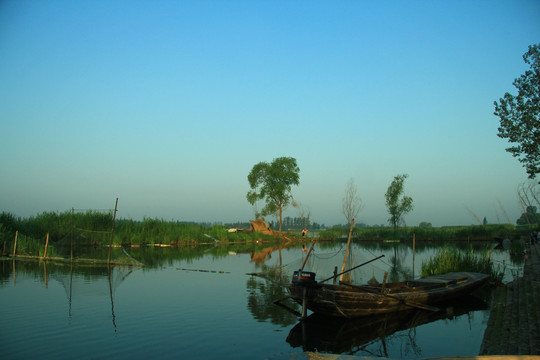 白洋淀湿地