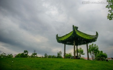 风雨亭榕树造景