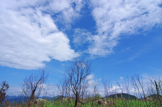 自然风景 山峦 晴朗 自然环境