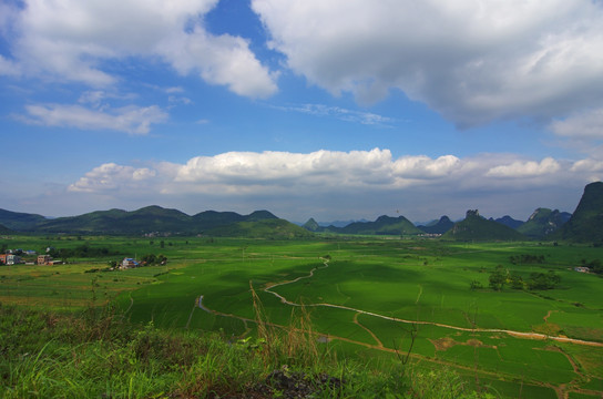 田园 风景