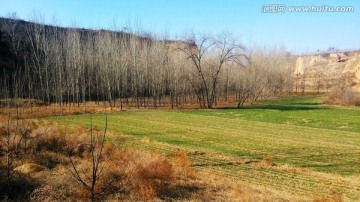 山地 麦田