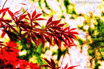 楓葉油畫