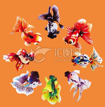 魚(yú)