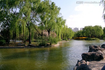 洛阳隋唐遗址植物园