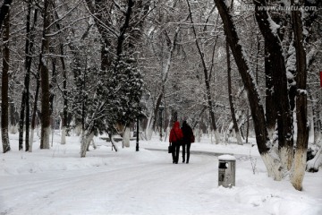 雪中行