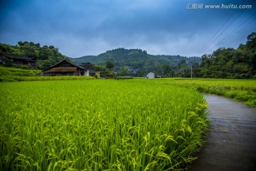 田园风光