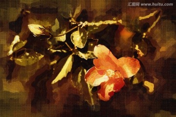 花卉抽像畫