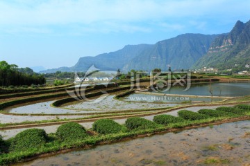 叙永丹山红岩坝茶园梯田