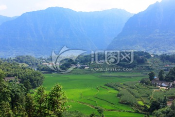 叙永丹山红岩坝茶园田野