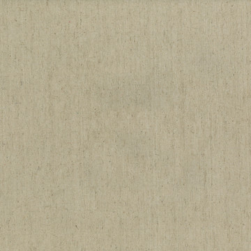 畫(huà)布 棉布 底紋 油畫(huà)布 紋理