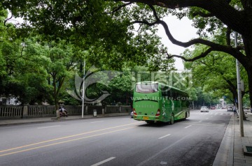 城市交通 林荫道 公共交通