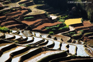 元阳梯田