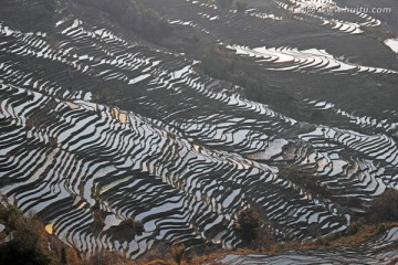 坝达梯田