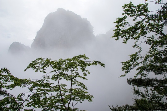 雾中天竺山